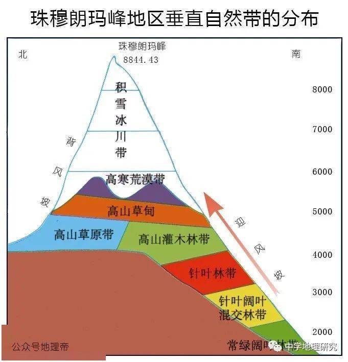 【高三地理】地理視角看林線,附20座山脈的垂直自然帶譜,總結全了!