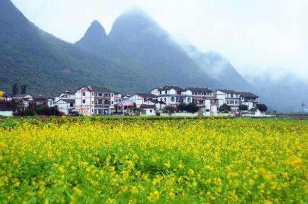 【康养胜地 人文兴义】在万峰林过自己喜欢的生活_张媚_西南_成都