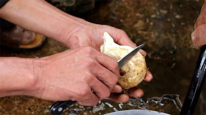 一天一點普洱(2586)有一種味道叫普洱丨冬補山珍野山藥_同心鎮_村民