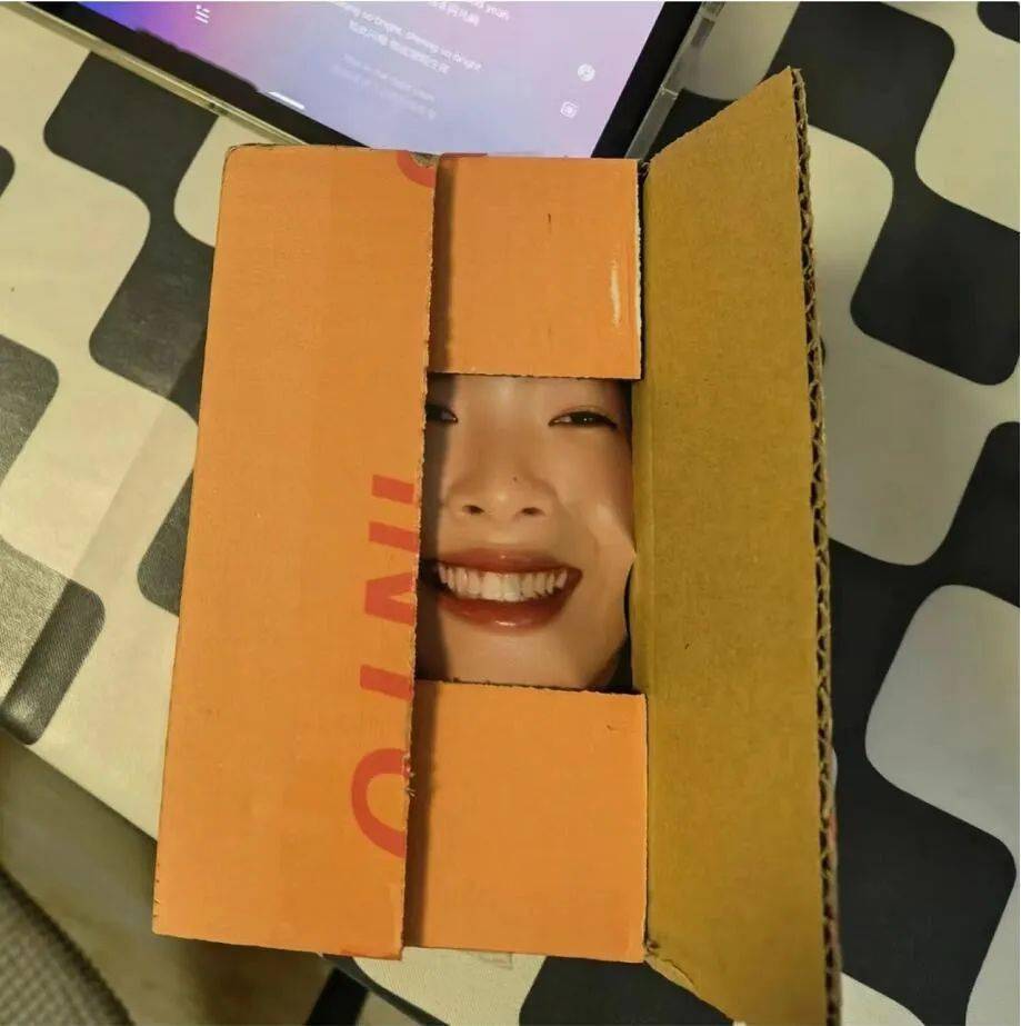 网友_薯条_包装