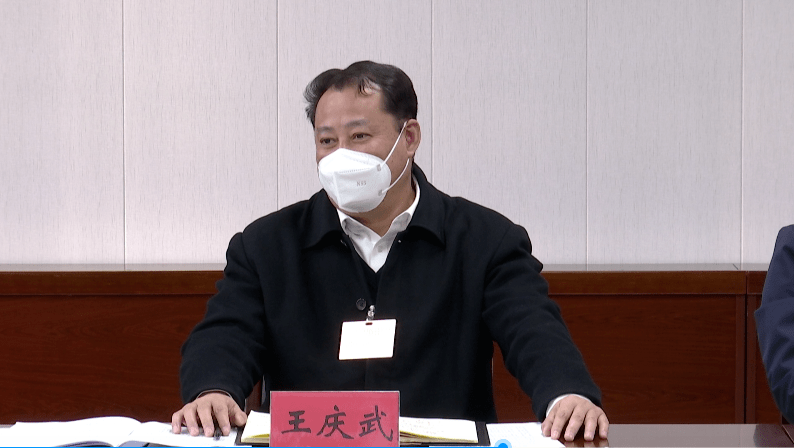 王庆武深入人大代表团和政协界别与代表委员讨论审议政府工作报告