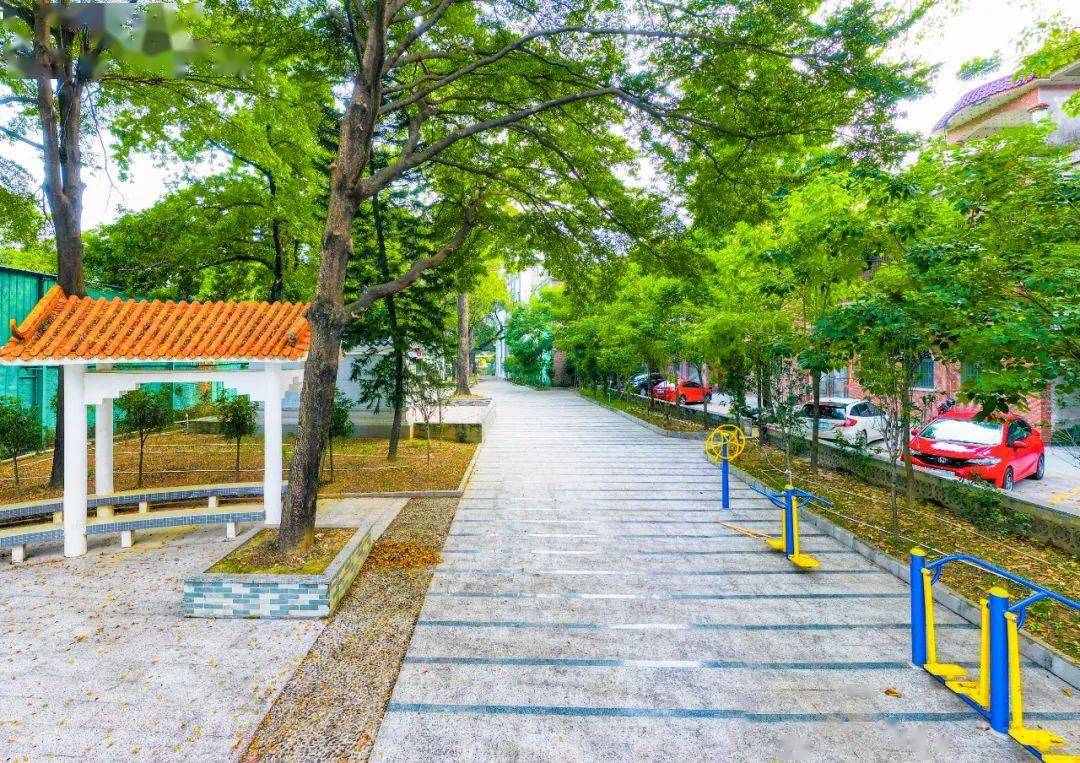 沙头北村颜值出圈,看看实力有多强_休闲_九江镇_一公园