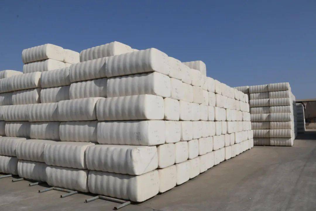 兵团积极开展棉花加工企业诚信经营评价管理_信用_监管_质量