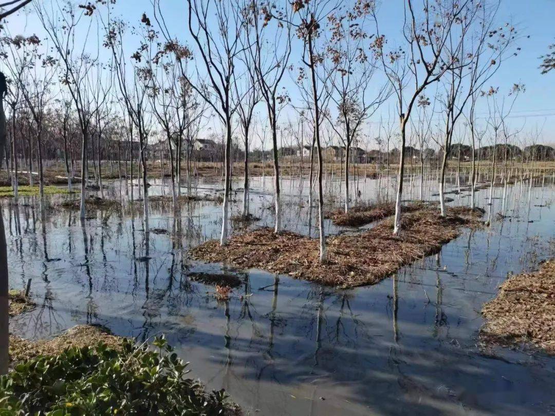 挖塘泥疫情防控新十条发布,防控疫情已从政府防控为主进入了个人防控