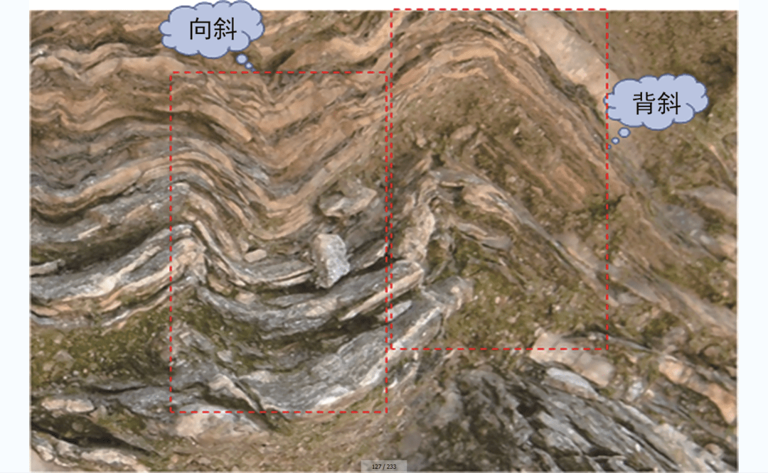 地质平面图判断背斜图片