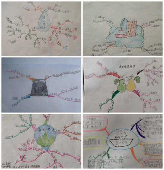 扬智慧风帆——记莘县中心希望小学语文组开展"思维导图"制作活动