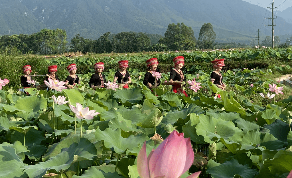 【乡村振兴】游溪镇:"五花"绽放满园芳 村村寨寨产业旺_种植_发展