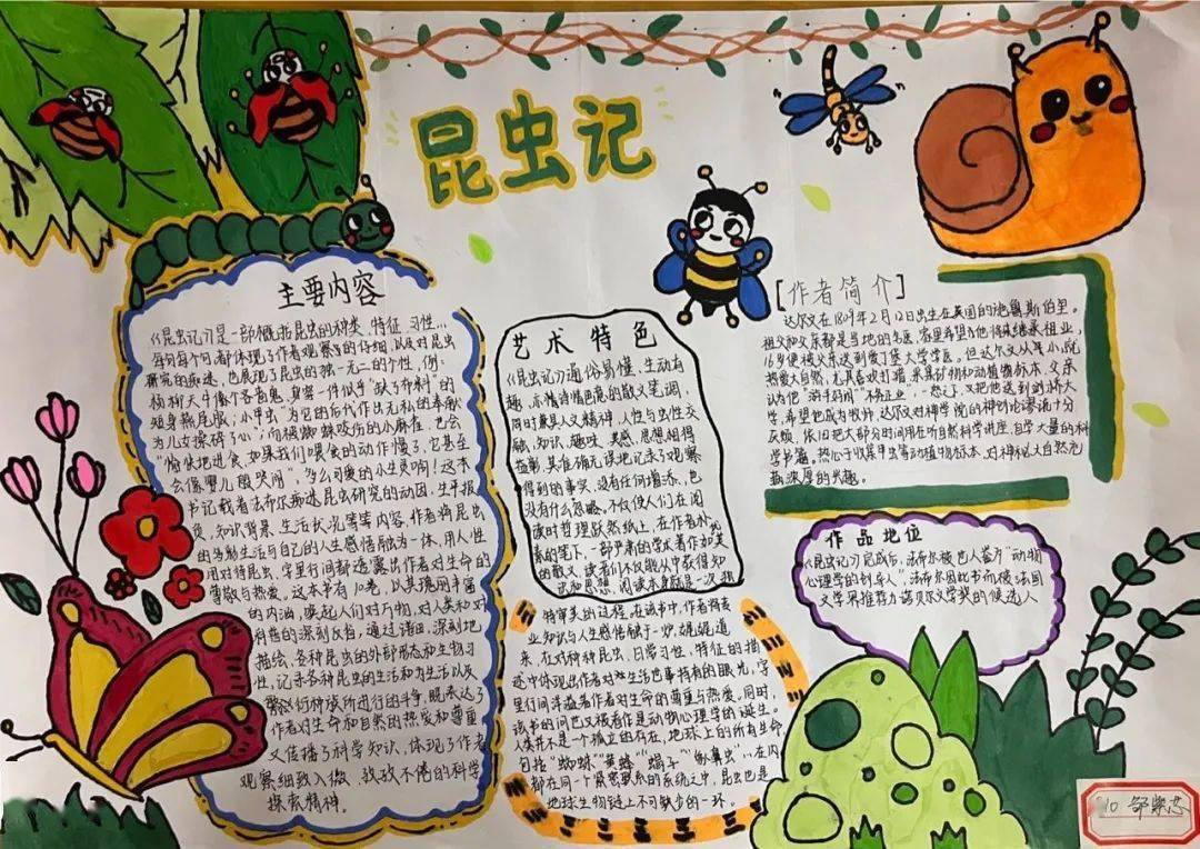 【莞美学校|初中部】走进昆虫世界,探索生命意趣_法布尔_年级_精神