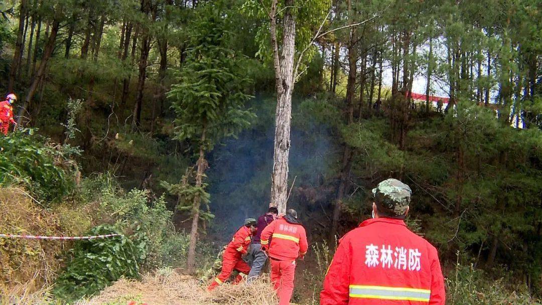 东兰县长乐镇华亨村图片