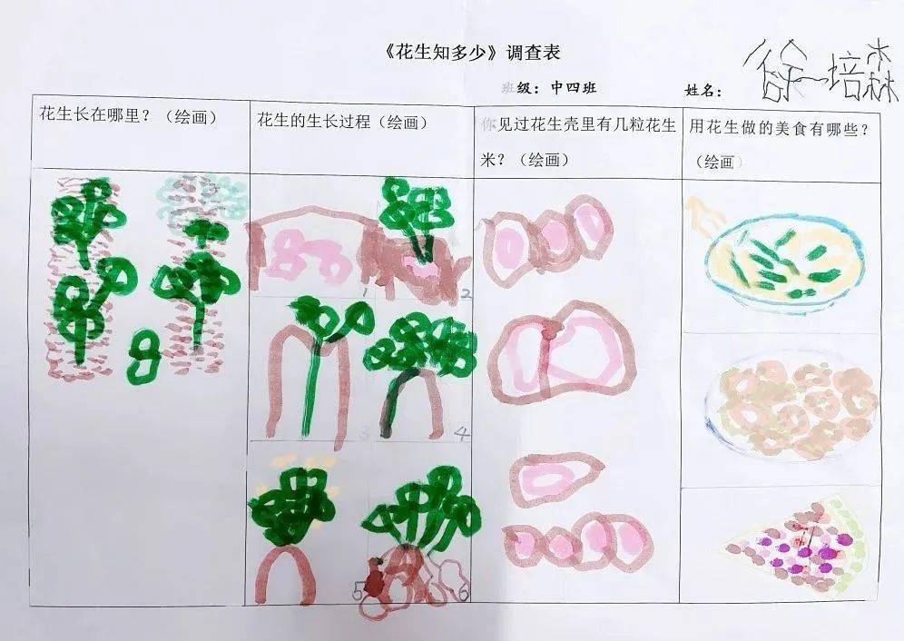 【李沧区青峰路幼儿园】追随幼儿,发现课程之好事"花生"_美食_调查