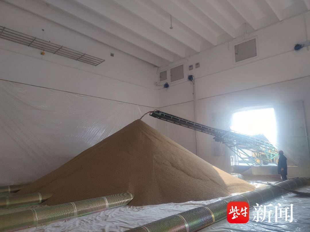 据悉,南京江宁彤山粮食储备库共有4座高大平房仓,总仓容达4.6万吨.