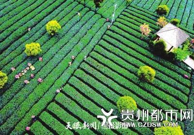 湄潭县马山镇清江村.罗星汉 摄永兴镇大米基地.