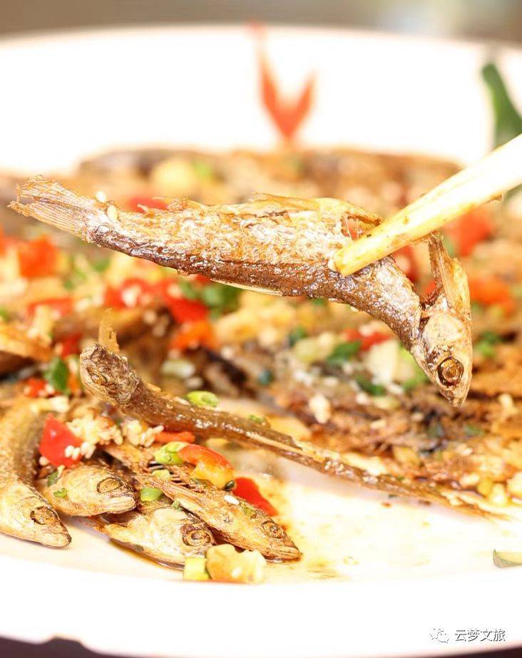 云梦美食:干煸小餐条_伍洛镇_文化_乡村