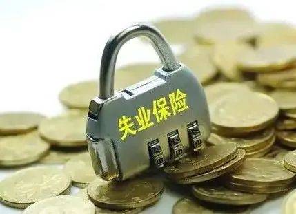 山西今年将全面实施失业保险基金省级统筹_管理_统一_保障