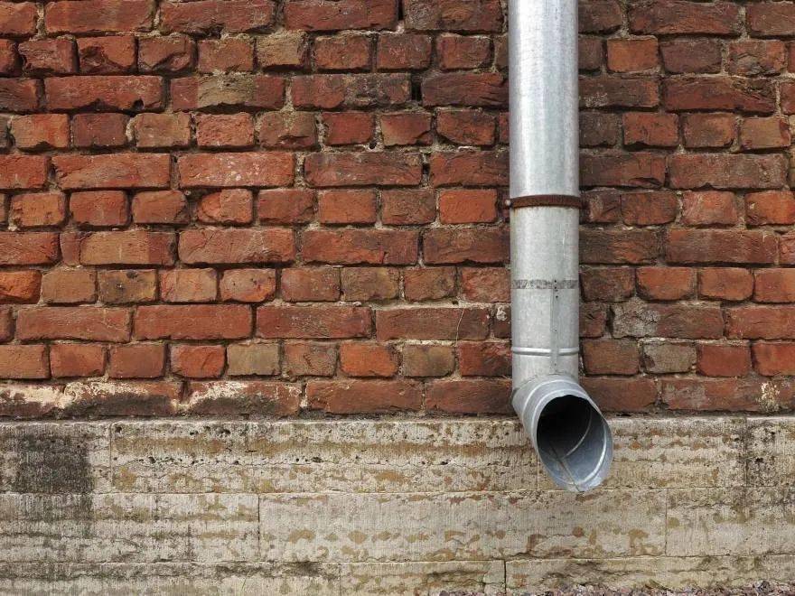 恐怖!昆州住户地板缝中,冒出剧毒毒蛇!