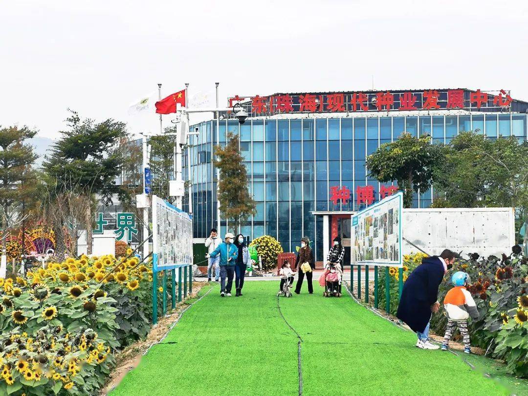 在平沙台创园色彩缤纷的花卉植物鲜嫩诱人的蔬菜瓜果……吸引周边的