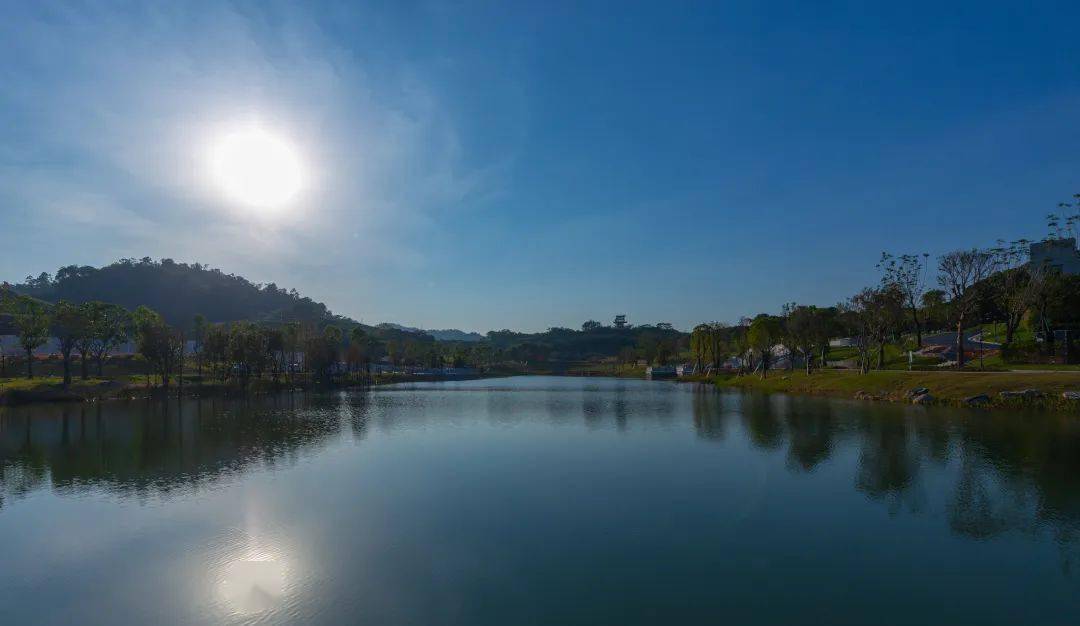 中山金钟湖公园图片