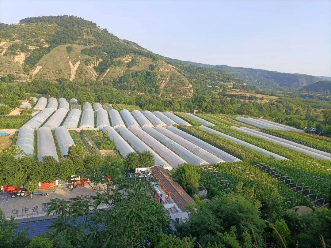 枣园镇:紧盯目标 踔厉奋发 在高质量发展道路上行稳致远_建设_长武