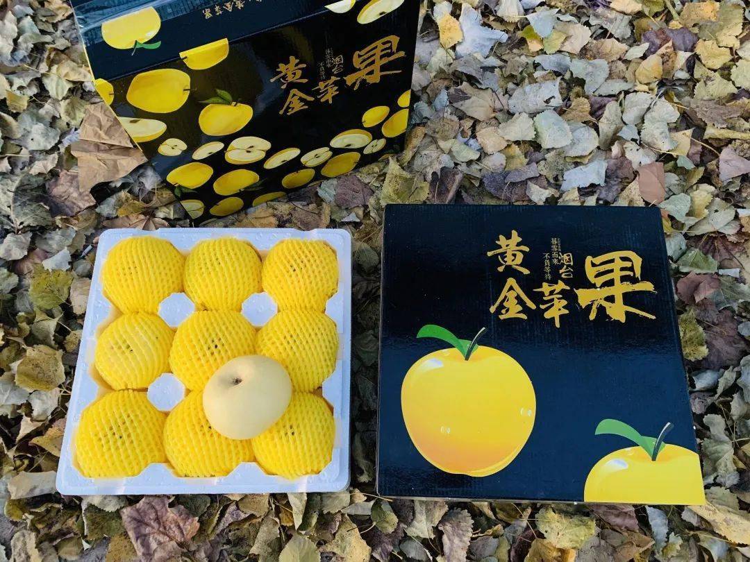 听到名字都流口水的「黄金奶油富士」,是名副其实的冬季果王!