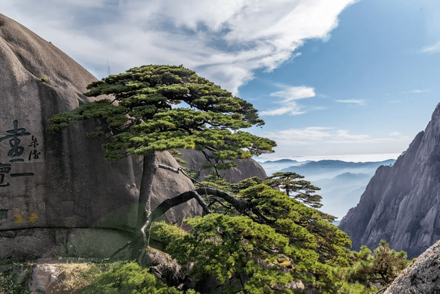 黄山迎客松图片 微信图片