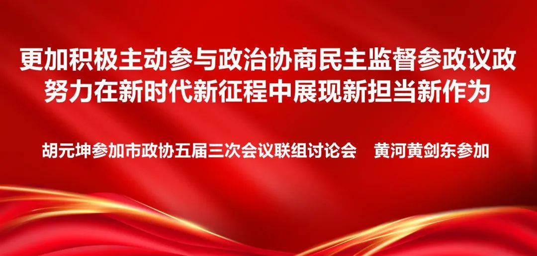 更加积极主动参与政治协商民主监督参政议政 努力在新时代新征程中