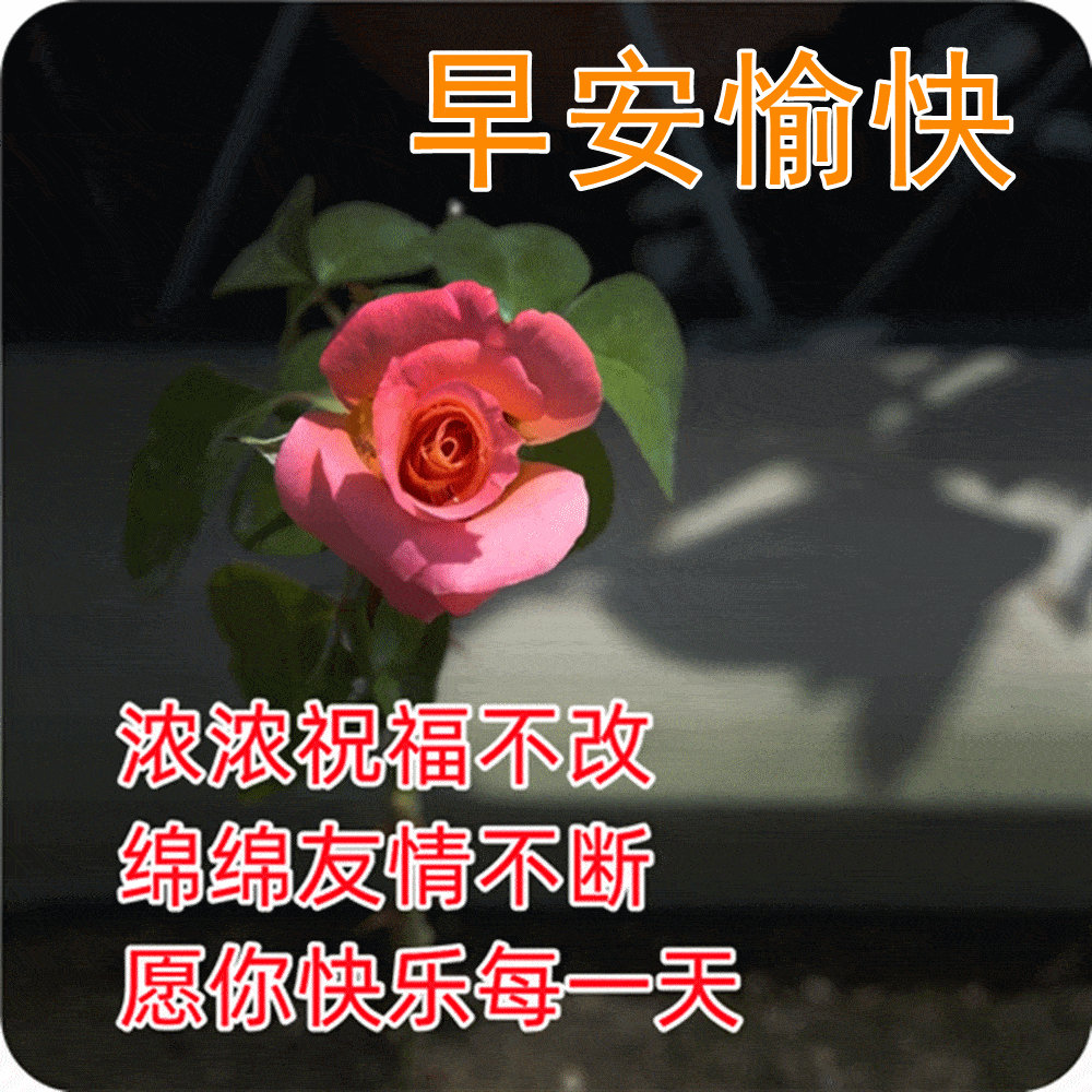 吉祥祝福早上好动态表情包 一份早安动态祝福图片