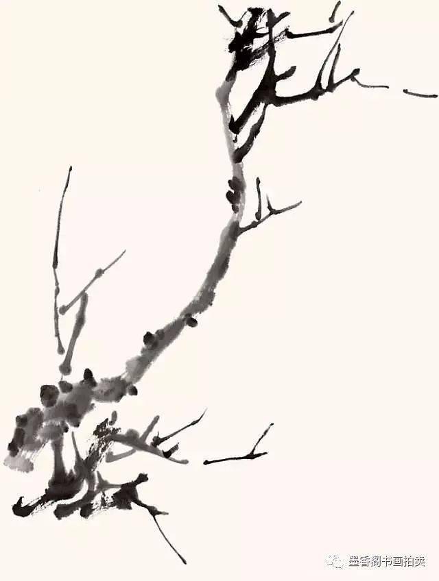 怎样画梅花树干和树枝图片