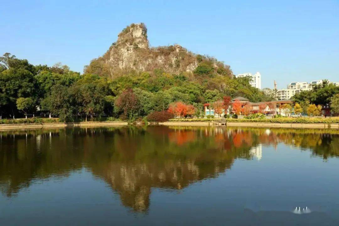 以上组图,图源:柳州市雀儿山公园炮仗花花廊上,炮仗花已迎来花期,橙色