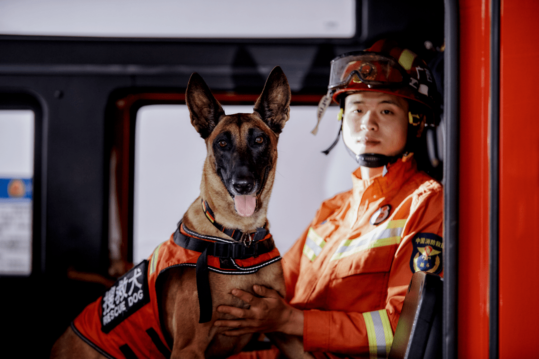 榜样| 龙城飞将风采录——曾健彬与搜救犬"土豆"_训练_训导员_救援