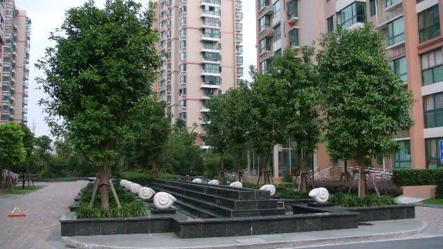 园艺小景有点"香","四季花海"亮相普陀这里_居民_小区_花苑