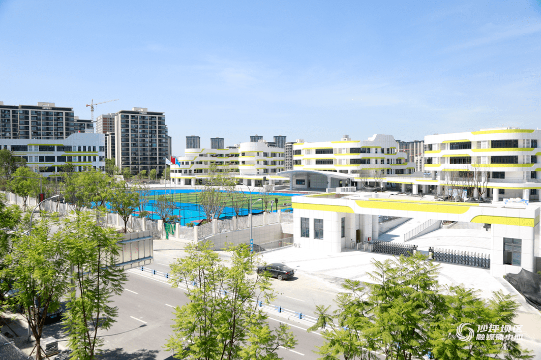 2022年沙坪坝区重点民生实事答卷二_整治_小学_群众