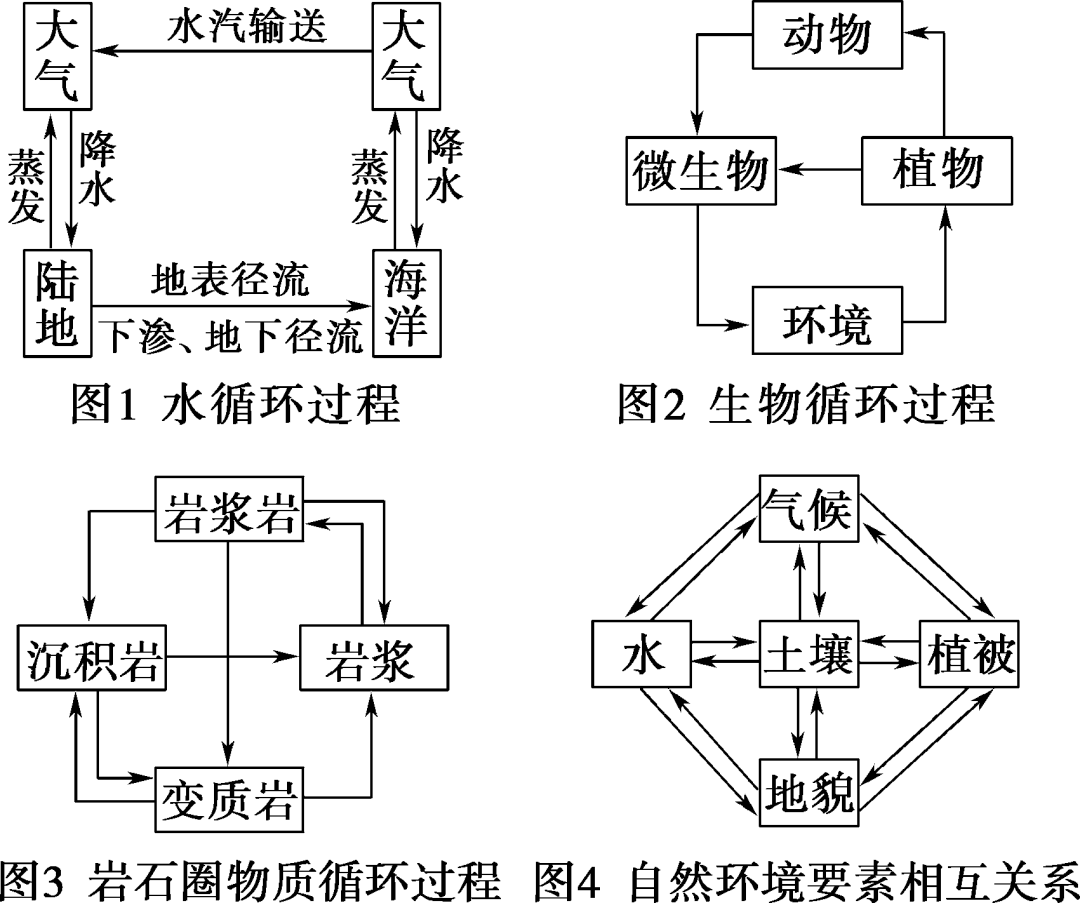 【高三地理】自然环境的整体性知识精讲,自然环境要素间的物质迁移和