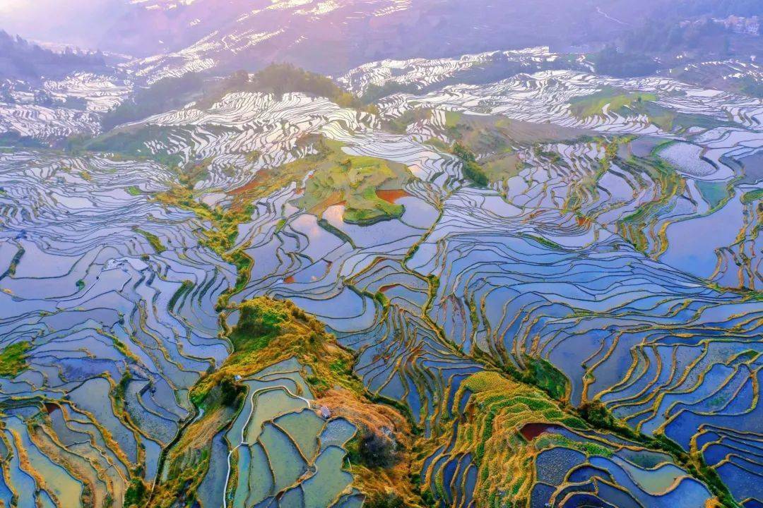 千年农耕雕塑大地,cctv4带你"飞阅"红河哈尼梯田!_村寨_人类_历史