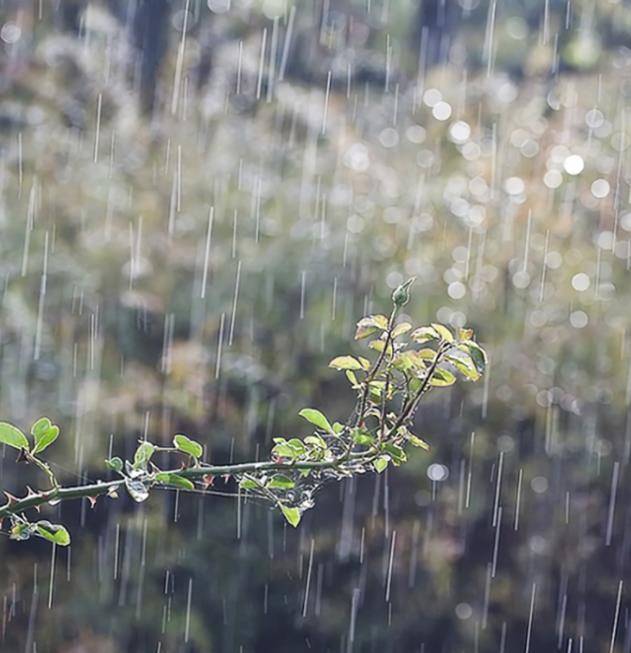 夜雨丨秦拓夫：梅雨谷之恋