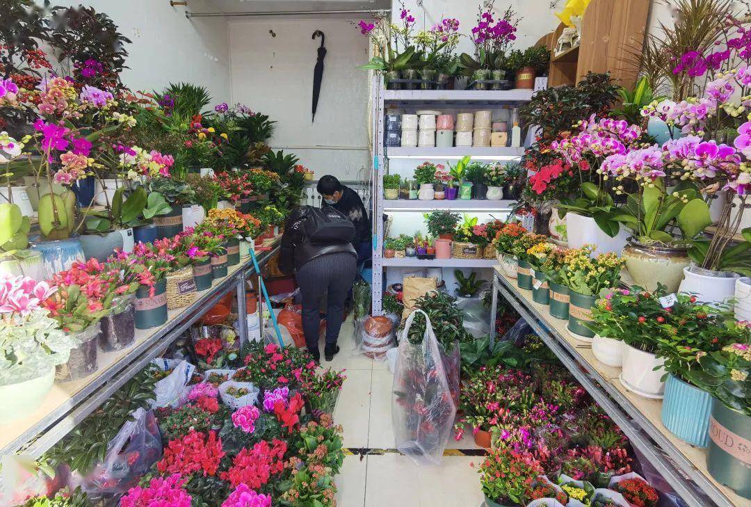 北京石景山花卉市场图片