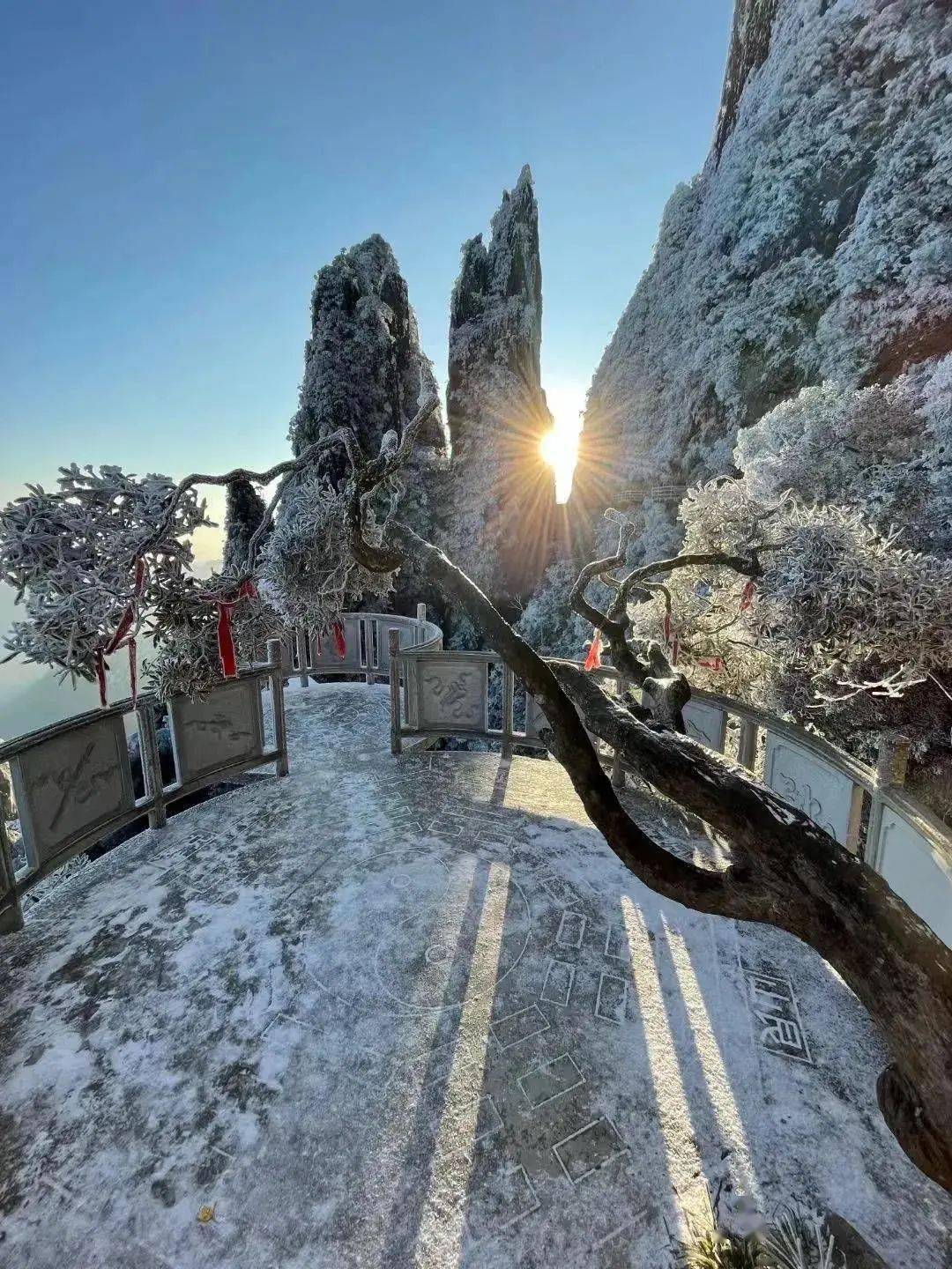 莽山雪景图片