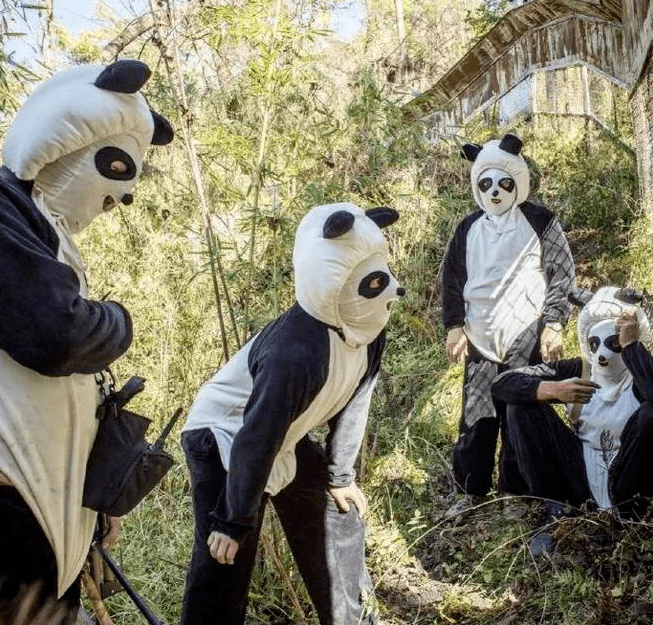 四川有多少熊猫是人扮的?_人类_动物_鸟类