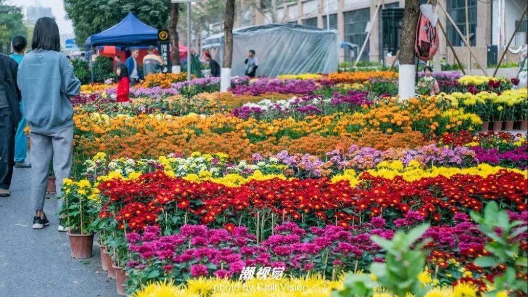 花街攻略来啦~三水人终于可以去行花街啦!_花市_地点_时间