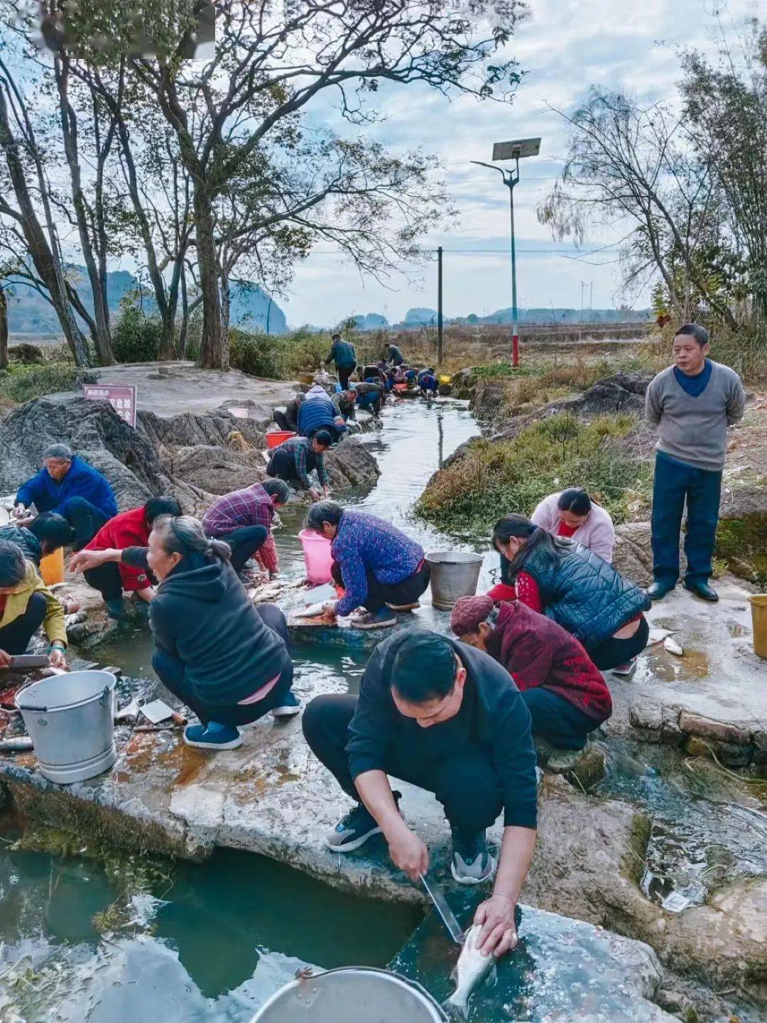 三台抽水泵一同开工先是大姑娘似的涩涩地响了几声然后飞速运转起来