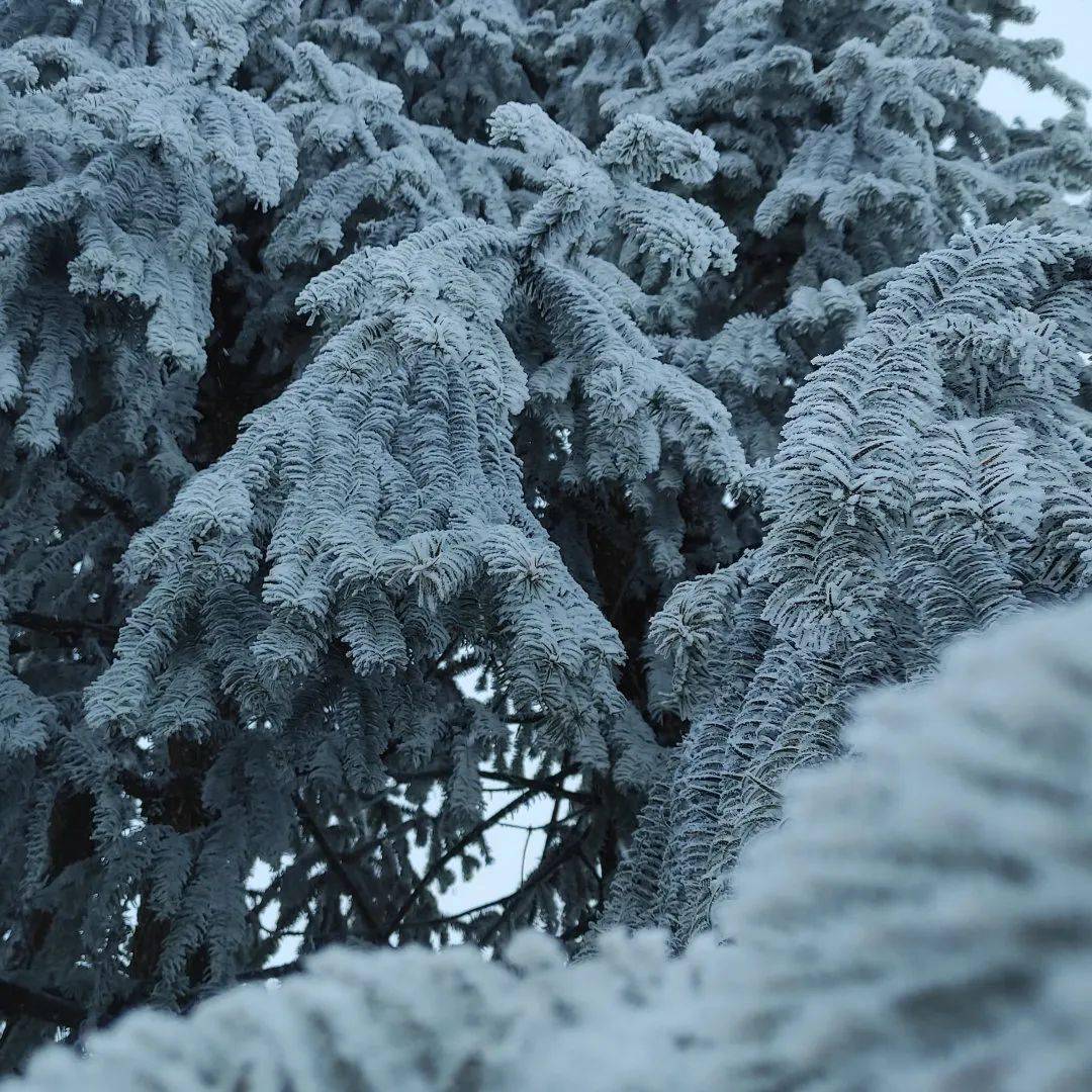 秀山已经准备好,快来川河盖赏2023年的第一场雪啊!