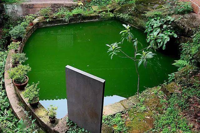 鸳鸯井25张大千的旧居26老君阁27古仆石狮28林中老屋30幽谷山道31湖边