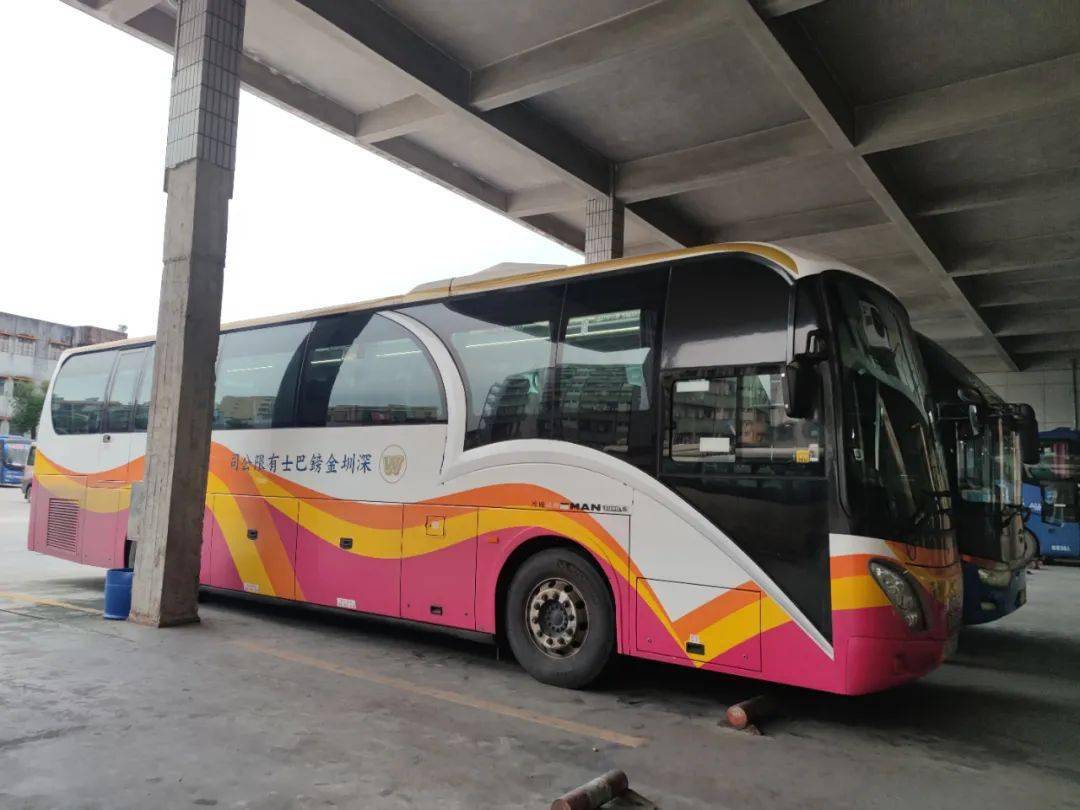 台山至香港,澳门班线逐步恢复运营_旅客_汽车总站_家人