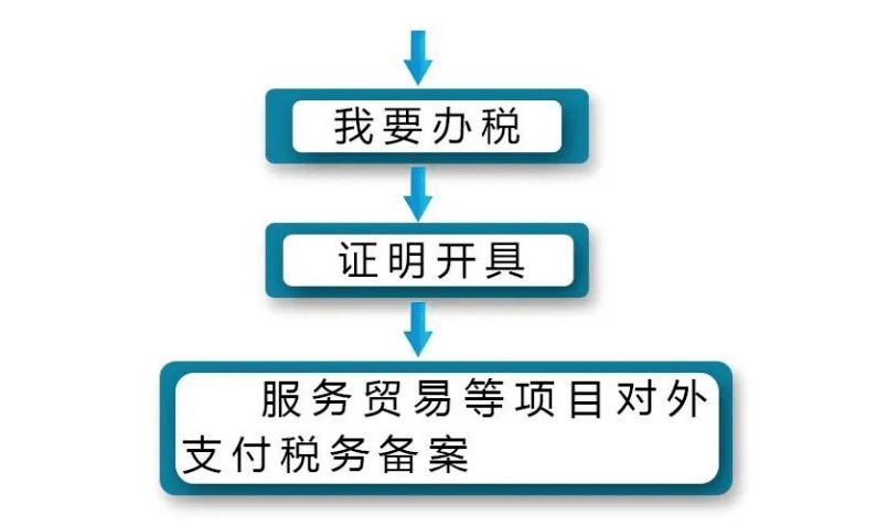 税务备案对外支付怎么操作_对外支付税务备案_对外支付税务备案