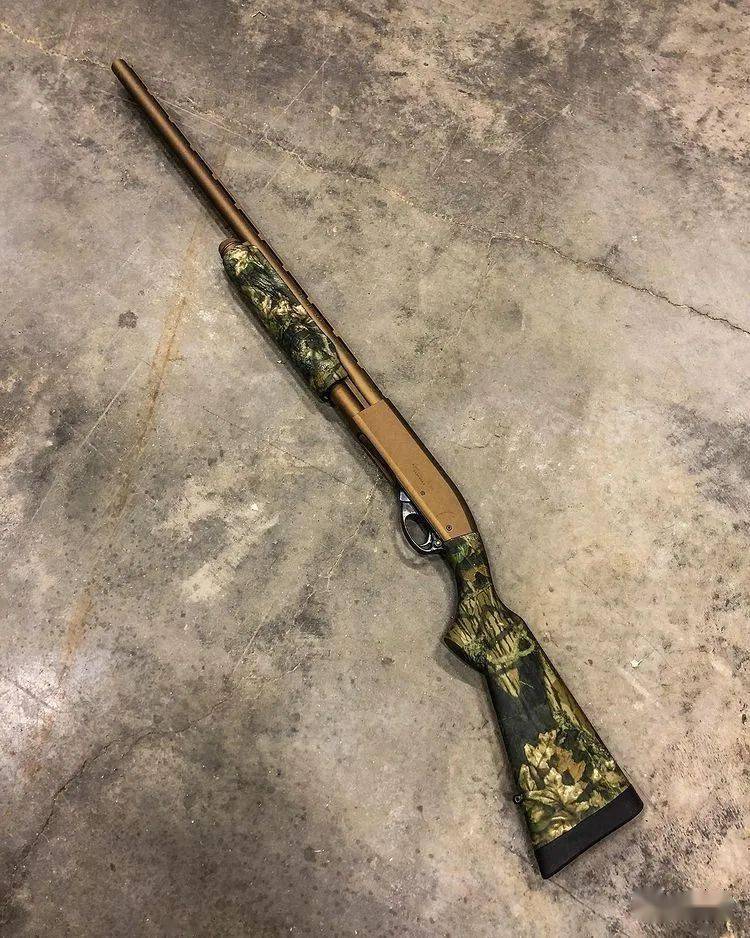 【霰弹枪美图】我忽然想到一句话 打的你一脸桃花开_战术_公众_备份