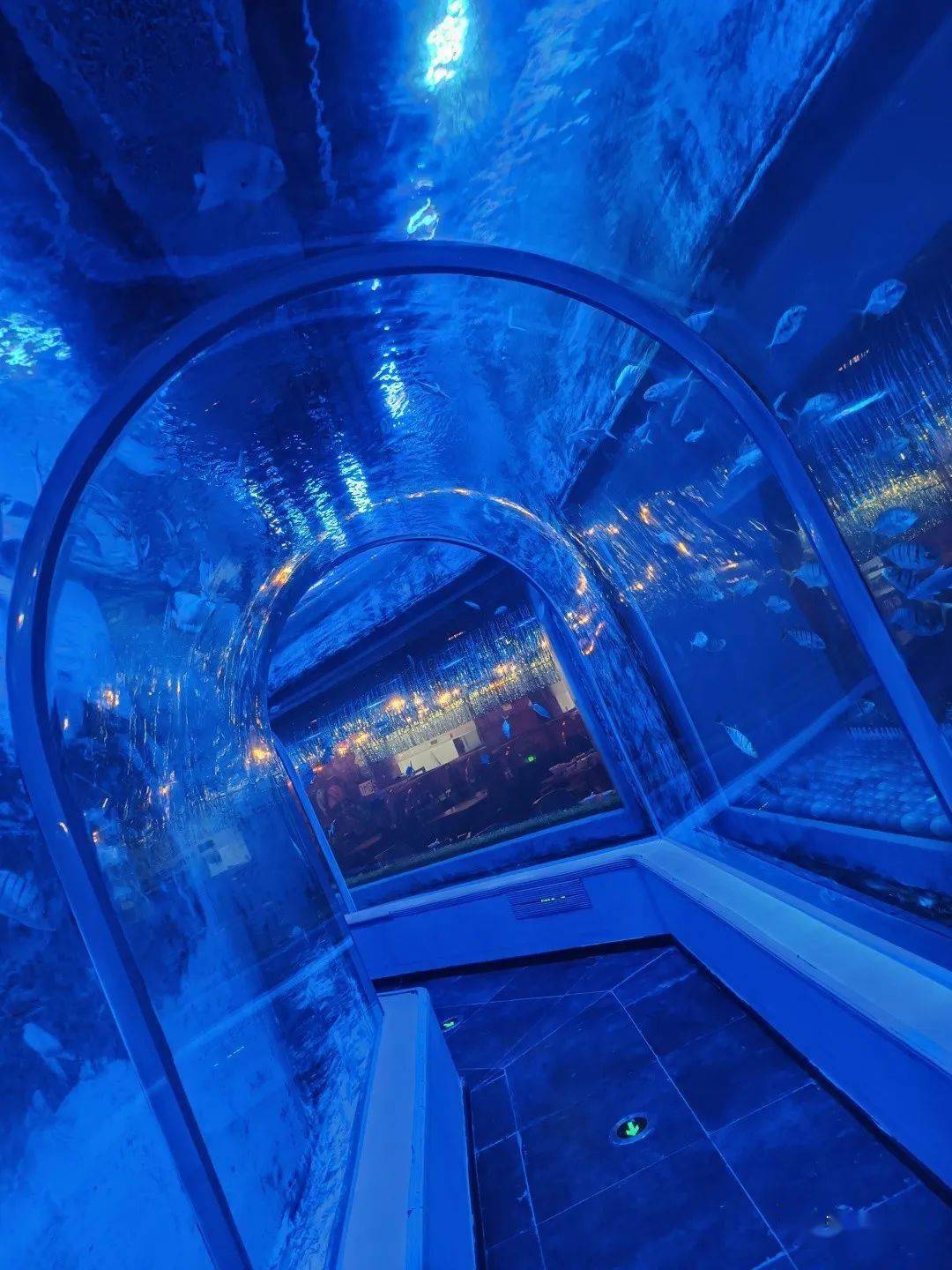 omg海洋部落,亚奥家门口的超大水族馆,快来玩!_活动_区域_带回家