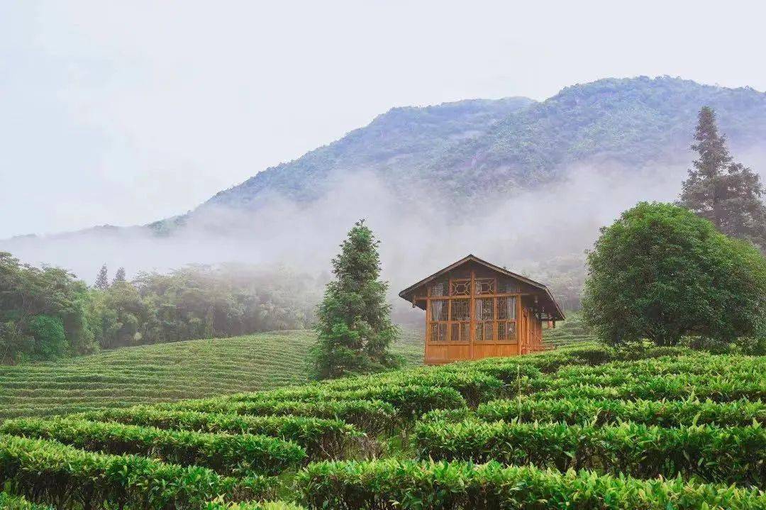 黃姚古鎮 玉石林 姑婆山 紫雲仙境_活動_瀑布_山水