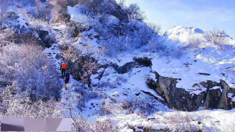 滑雪戏雪,登高祈福,亲子遛娃.