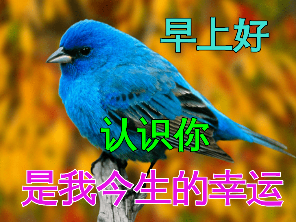 1月18日早安漂亮图片温馨祝福