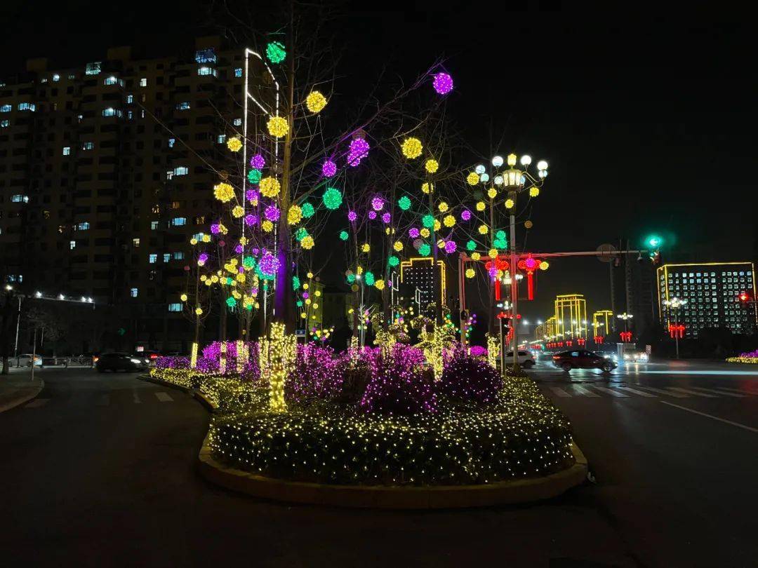 (嘉善路)夜色中的街道流光溢彩,璀璨夺目,行道树上一排排彩灯熠熠生辉