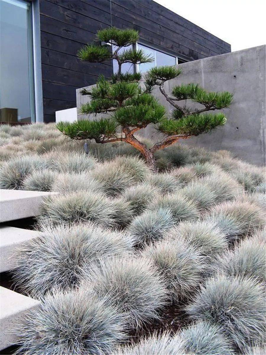 植物_設計_空間